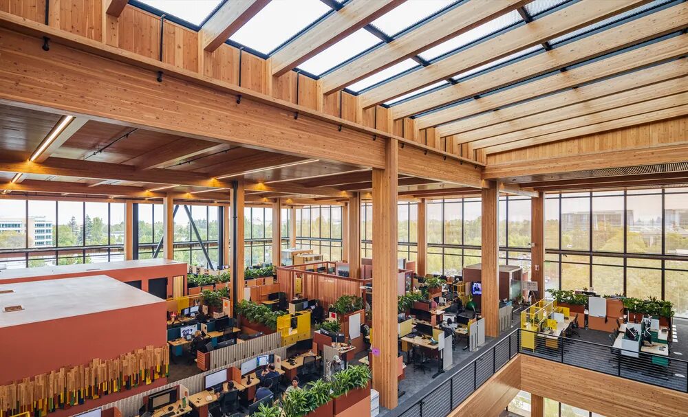 Mass timber is integrated into the ceiling beams and panels in a workspace.